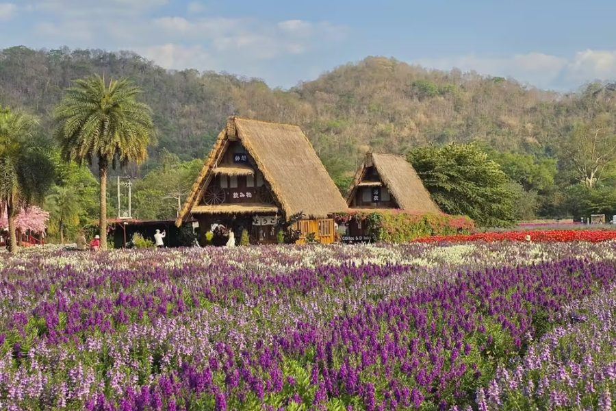 Khao Yai Nature Tour – 3N