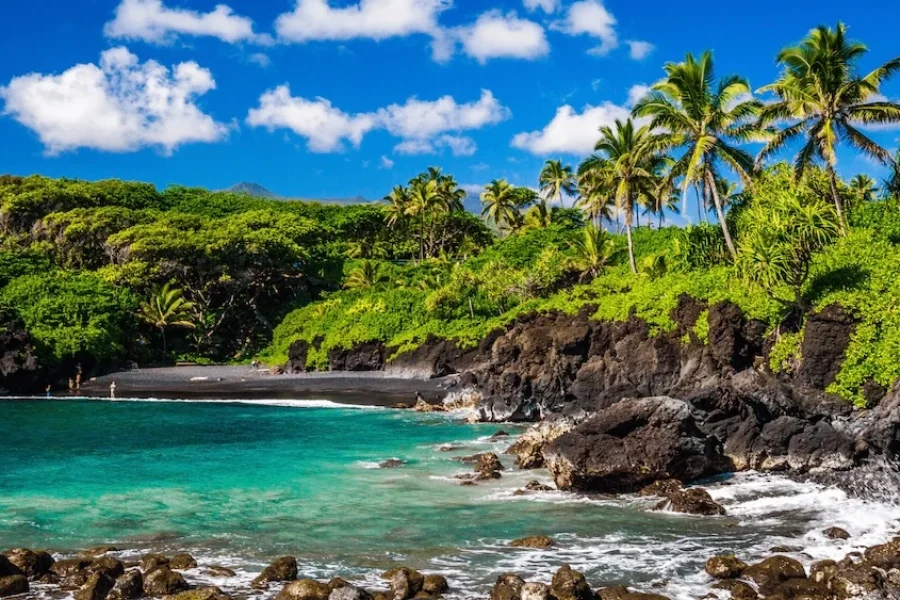 16 Days Hawaiian Islands Cruise Tour