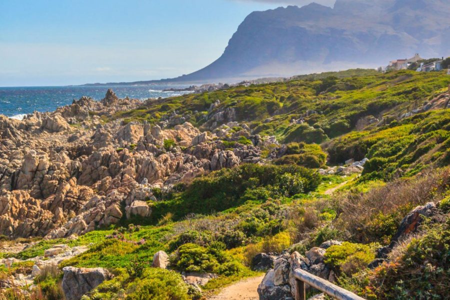 Johannesburg & Surroundings 7-Day Cultural, Heritage & Safari Experience