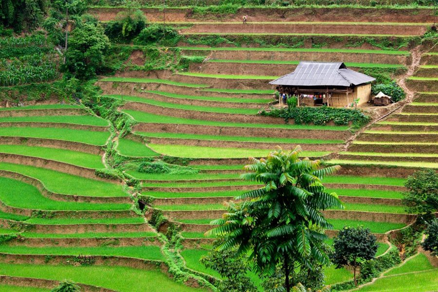Vietnam 10N Trio Escape – Hanoi, Da Nang & Phu Quoc
