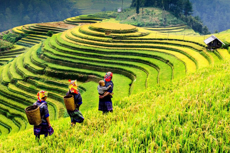 Vietnam to Cambodia – A 10-Night Cultural Journey