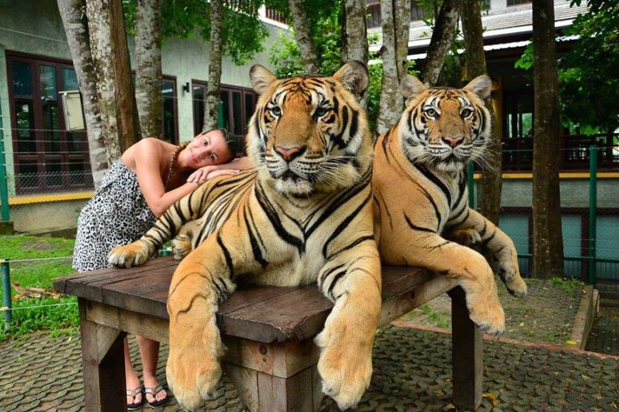 Vibrant Bangkok & Phuket Escape – 7N